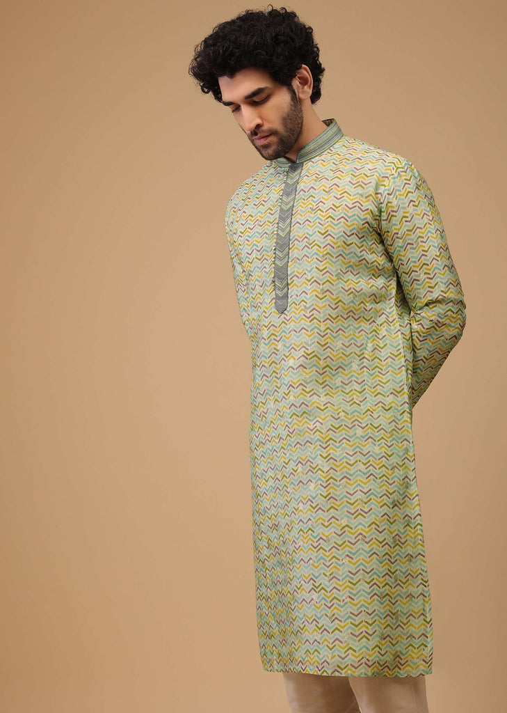 Green Handwoven Silk Printed Kurta Set