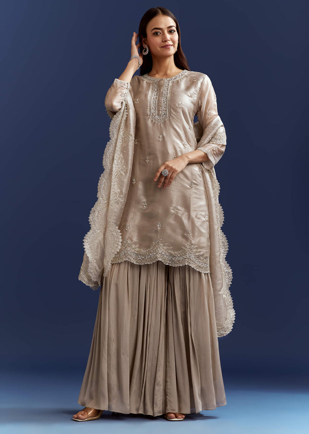 Grey Cutdana And Sequins Kurta With Stone Work Dupatta In Tissue