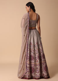 Grey Lehenga With Embroidered Choli And Dupatta