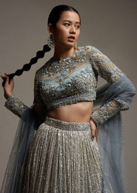 Grey Ombre Lehenga Embellished In Sequins With A Resham And Cut Dana Embroidered Choli