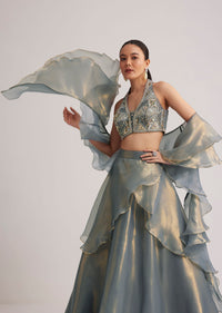 Grey Organza Embellished Lehenga Set With Dupatta