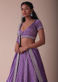 Lilac Purple Lehenga With Handwork Embroidery