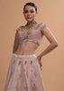 Icy Pink Lehenga Choli In Raw Silk With 3D Flowers And Beads Embroidery