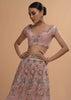 Icy Pink Net Lehenga And Cap Sleeves Crop Top With 3D Flower Cluster And Scattered Buttis