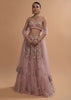 Icy Pink Net Lehenga And Sleeveless Crop Top With 3D Flower Cluster And Scattered Buttis