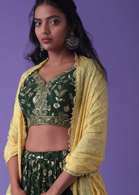 June Bug Green Georgette Lehenga With Zari And Sequins Embroidery