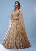 Bridal Khwabeeda Beige White Foil Organza Lehenga With 3D Embroidery - NOOR 2022