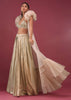 Bridesmaid Champagne Brown Lehenga Set With Ruffle Shrug And Embroidery