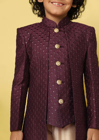 Kalki Wine Embroidered Sherwani Set In Raw Silk With Threadwork And Sequins For Boys