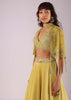 Lemon Yellow Embroidered Lehenga Set In Knit Fabric With Net Cape