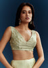 Light Pista Organza Saree With Floral Cutdana And Stone Embroidery