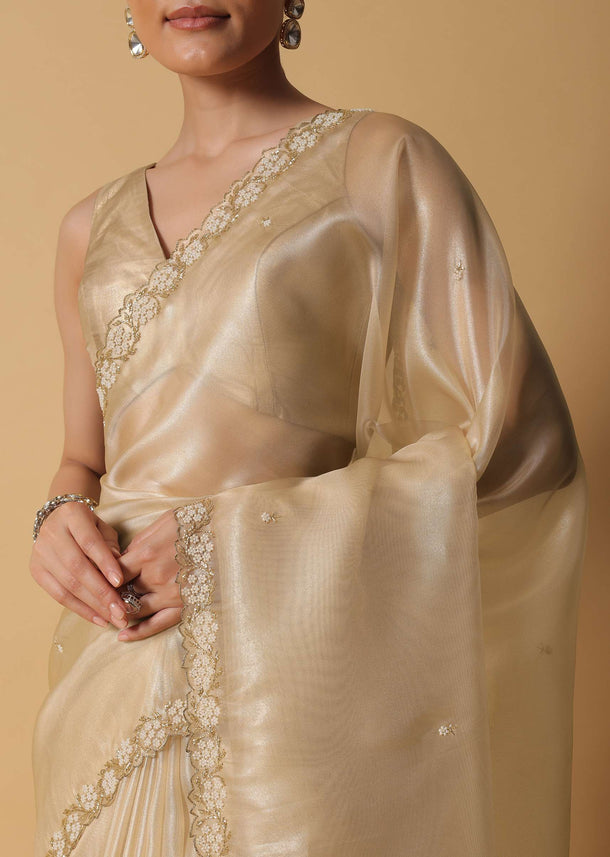 Light Gold Toned Saree In Tissue With Cut Dana Embroidered Borders