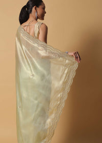 Light Green Foil Saree In Tissue With Cut Dana Embroidered Borders