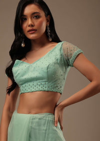 Light Green Stone And Beads Embellished Net Saree