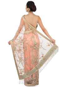 Light peach saree in net with resham and velvet floral embroidery