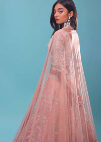 Light Pink Organza Lehenga And Crop Top With Sequins Embroidery