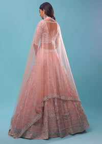 Light Pink Organza Lehenga And Crop Top With Sequins Embroidery