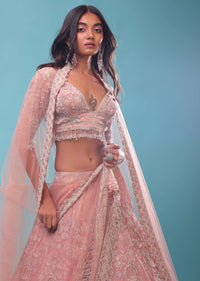 Light Pink Organza Lehenga And Crop Top With Sequins Embroidery