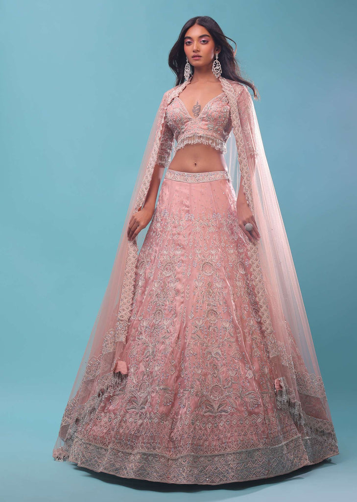 Light Pink Organza Lehenga And Crop Top With Sequins Embroidery