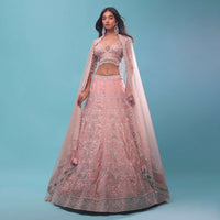 Light Pink Organza Lehenga And Crop Top With Sequins Embroidery