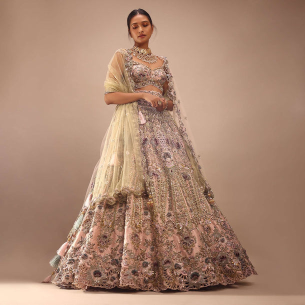 Light Pink Lehenga Choli With Multi Colored 3D Embroidered Kalis In Floral And Scallop Motifs