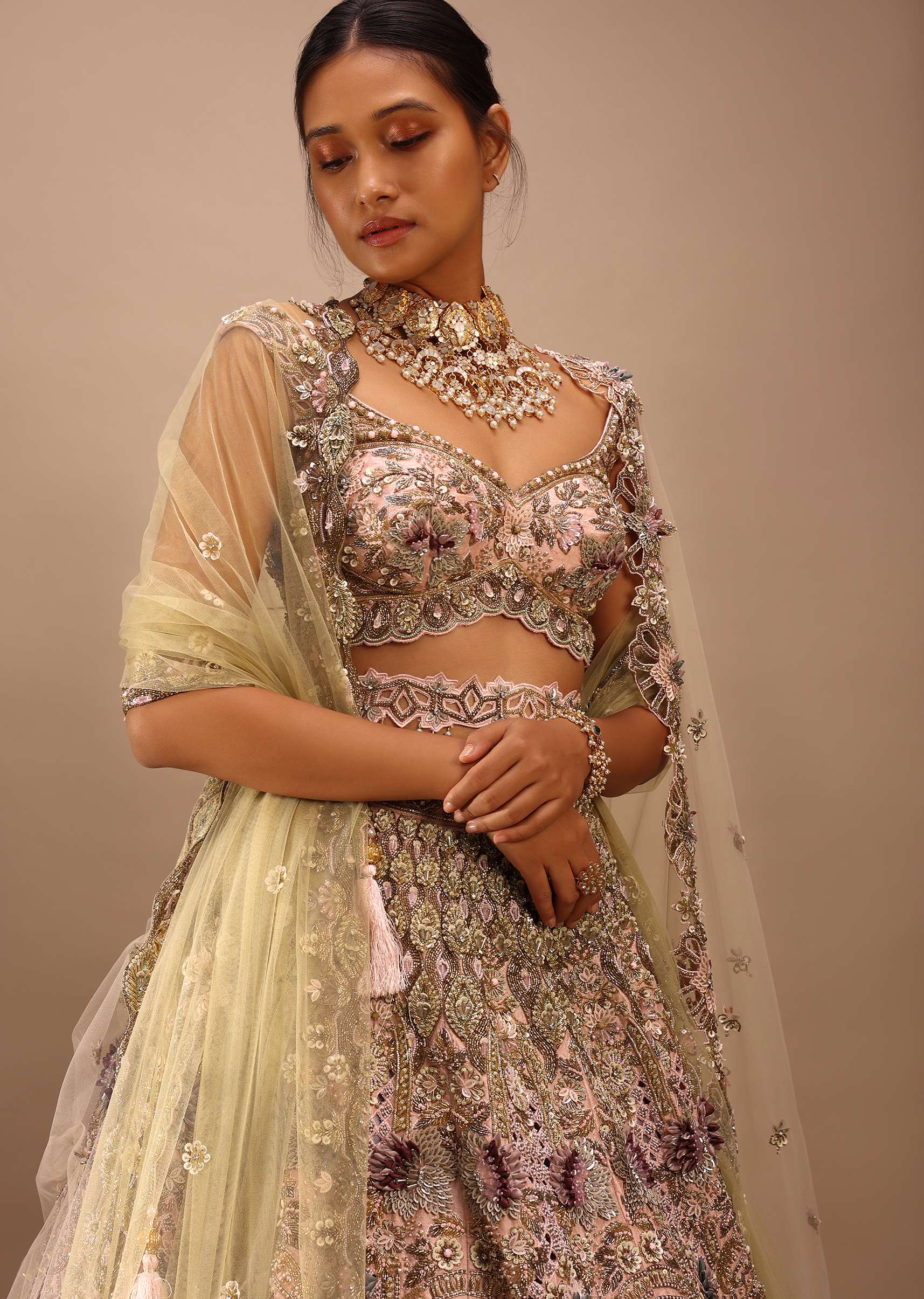 Light Pink Lehenga Choli With Multi Colored 3D Embroidered Kalis In Floral And Scallop Motifs