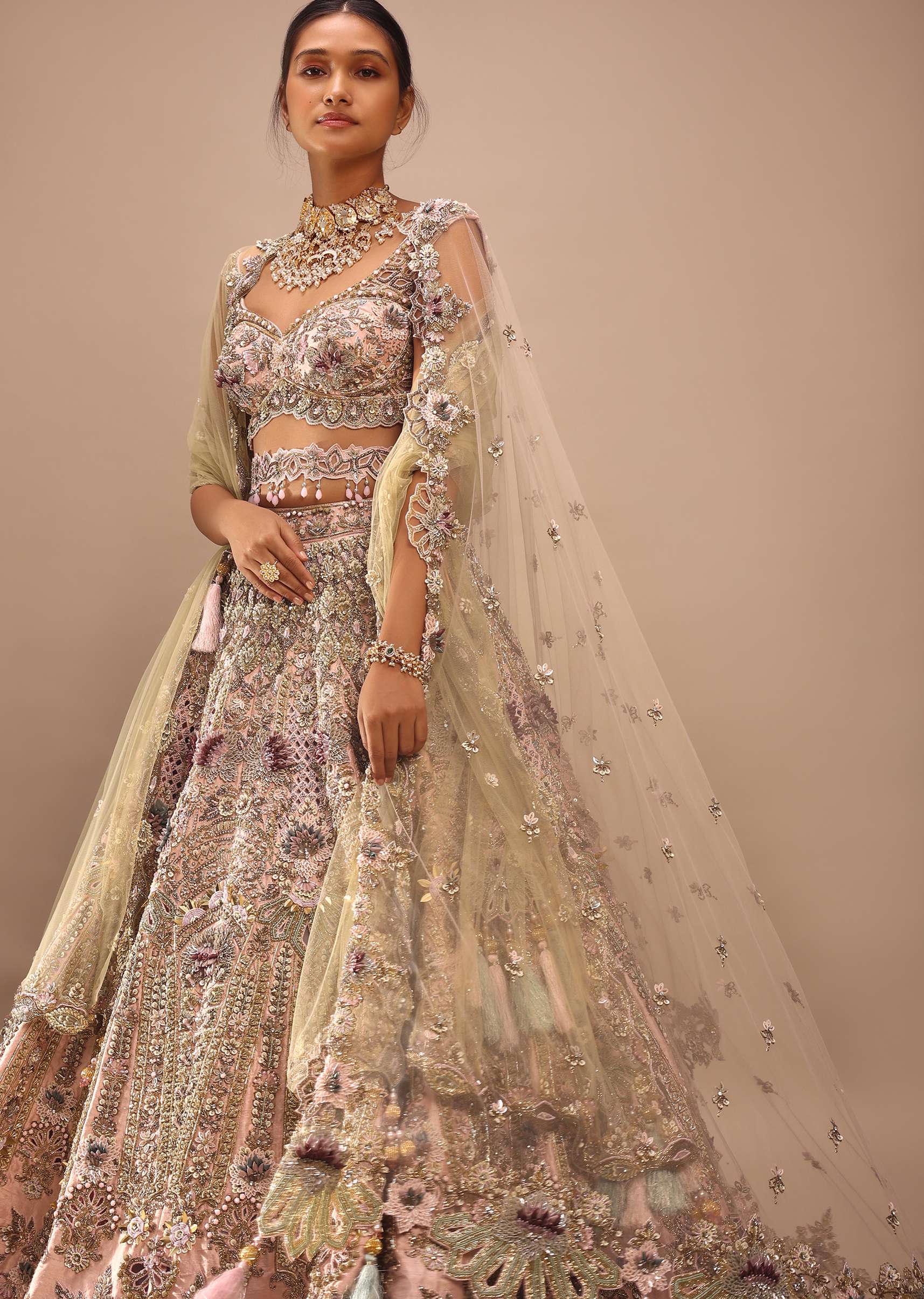 Light Pink Lehenga Choli With Multi Colored 3D Embroidered Kalis In Floral And Scallop Motifs