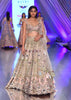 Light Pink Lehenga Choli With Multi Colored 3D Embroidered Kalis In Floral And Scallop Motifs