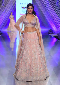 Light Pink Lehenga And Crop Top In Sequins Embroidery