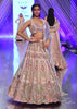 Light Pink Lehenga Set With A Choli In Moti Embroidery, Crop Top Comes In Half Sleeves With Cut Work