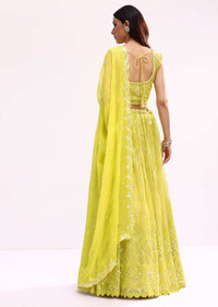 Lime Green Embroidered Net Lehenga Choli Set