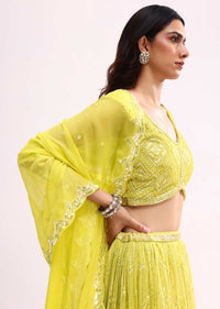 Lime Green Embroidered Net Lehenga Choli Set