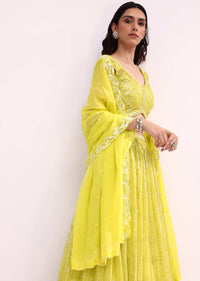 Lime Green Embroidered Net Lehenga Choli Set