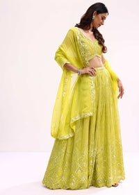 Lime Green Embroidered Net Lehenga Choli Set