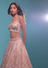 Powder Pink Lehenga And A Crop Top In Floral Resham Embroidery, Crop Top Comes In Spagetti Strap And Corset Neckline