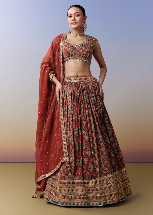 Maroon Lehenga With Ajrakh Print And Mirror Cut Dana Sequins Work