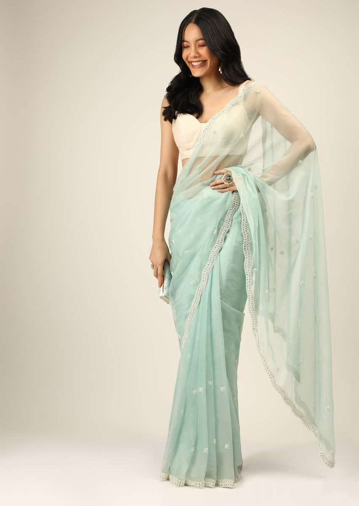 Mint Saree In Organza With Moti And Stones Embroidered Border And Butti Design