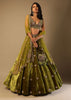 Moss Green Lehenga Choli With Multi Colored Hand Embroidered Floral Buttis