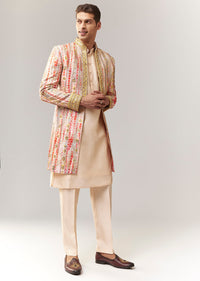 Multi Silk Indo Western With Resham And Zardosi Work