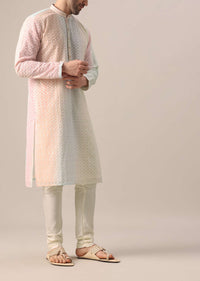 Multi Color Kurta Set With Lucknowi Work And Sequin Embroidery