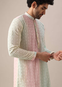 Multi Color Lucknowi Kurta Set With Sequin Work