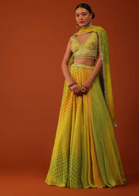 Multicolor Chinon Lehenga And Silk Blouse With Leheriya And Floral Print