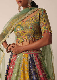 Multicolor Embroidered Lehenga Set With Sequin Work