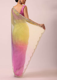 Multicolor Ombre Organza Saree With Floral Work