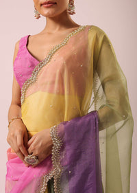 Multicolor Ombre Organza Saree With Floral Work