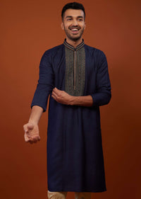 Indigo Blue Embroidered Cotton Silk Kurta Set