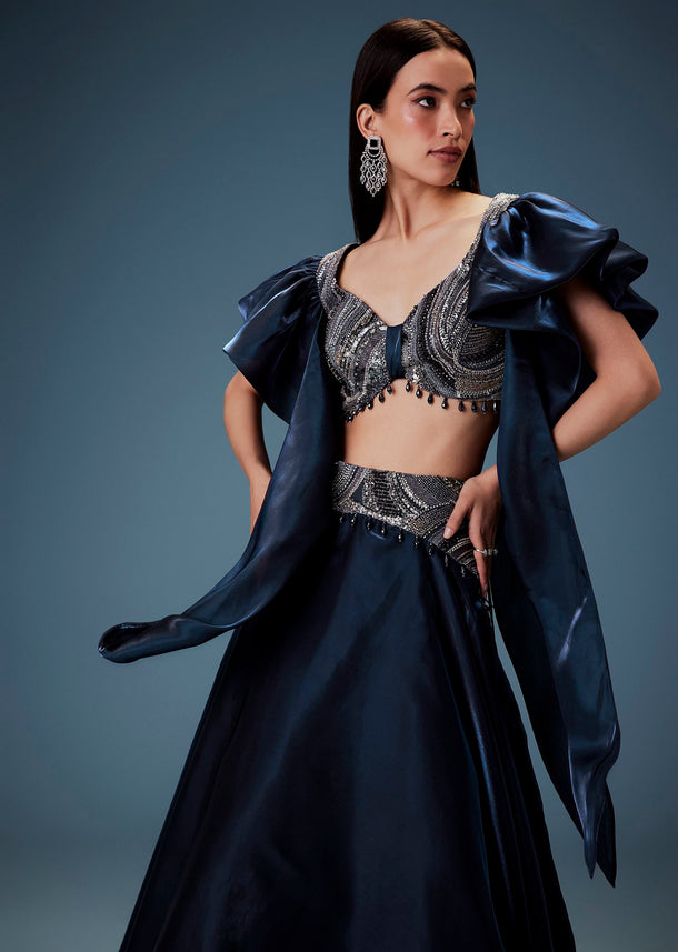 Navy Blue Organza Butterfly Blouse With Skirt
