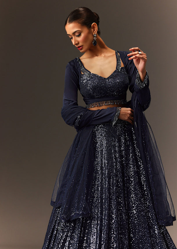 Navy Blue Tie Up Blouse And Embroidered Lehenga With Detailed Border Dupatta