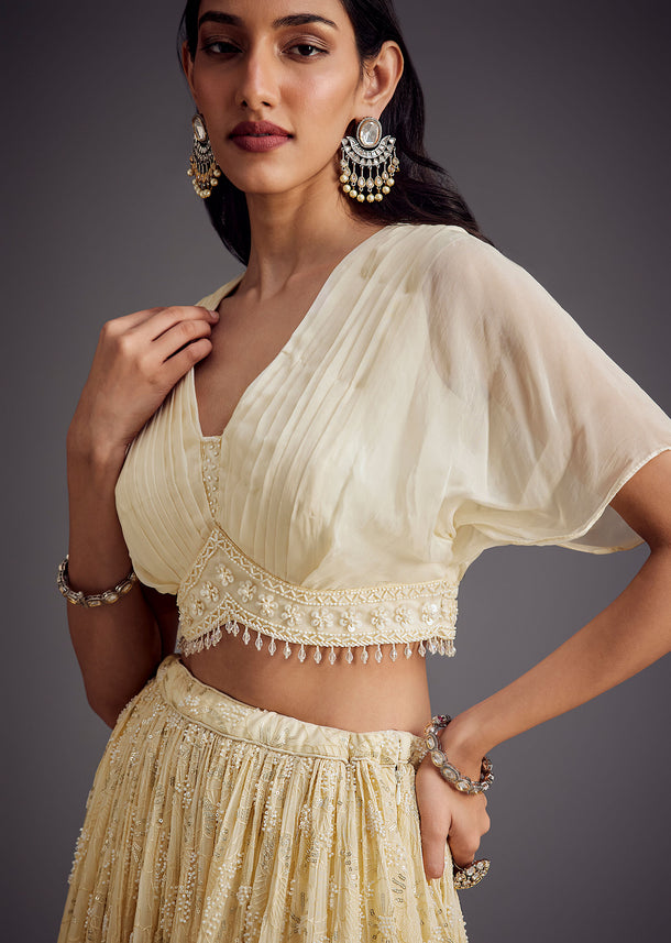 Off White Embroidered Pleated Skirt With Sheer Layered Croptop