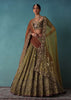 Olive Gold Bridal Lehenga Set Adorned With Sequins And Pearls